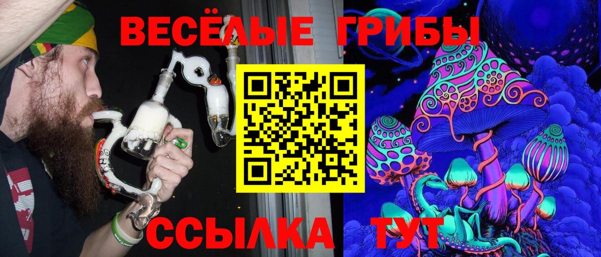 Галлюциногенные грибы мухоморы  Вход с VPN  Красногорск 
